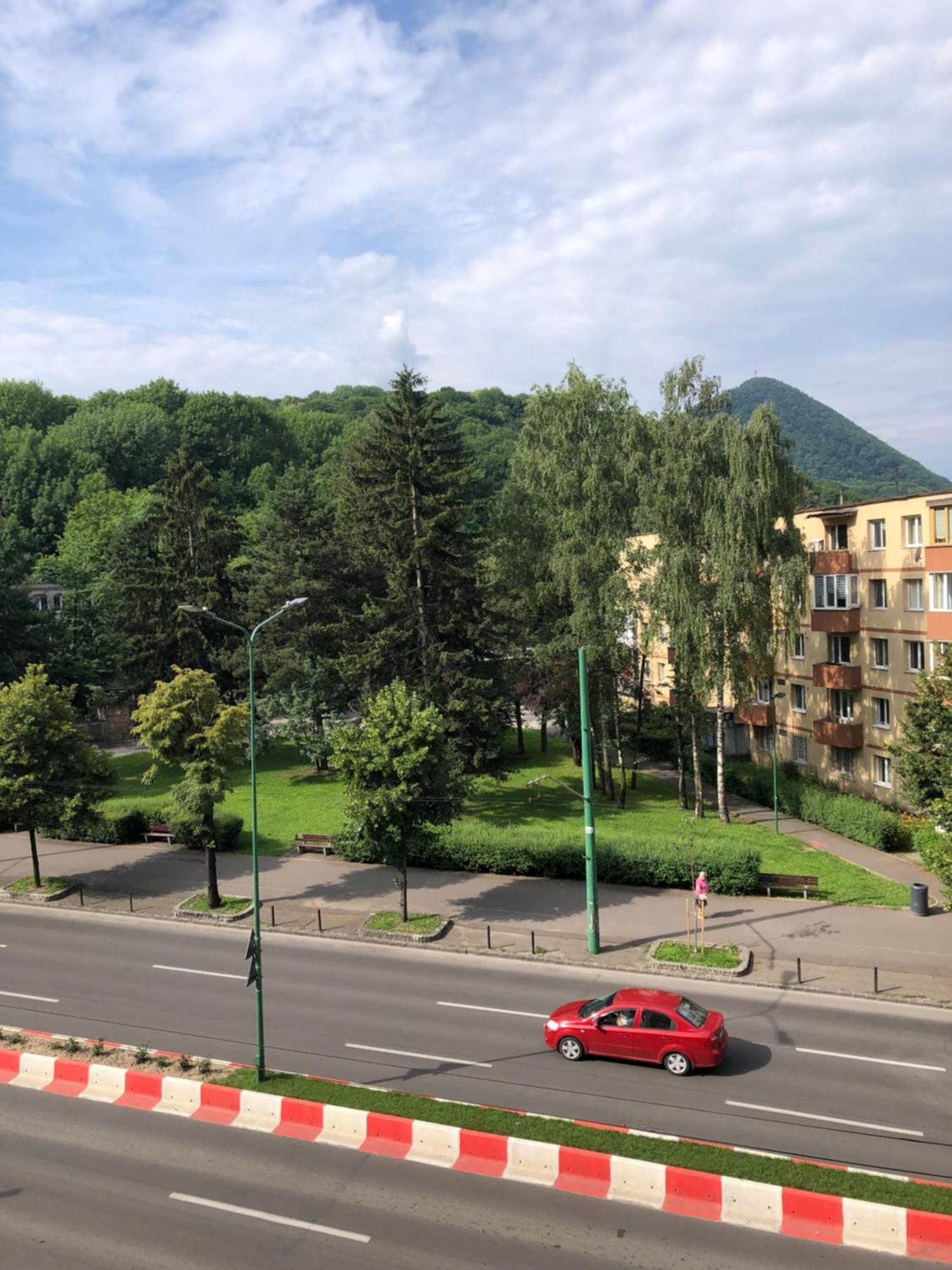 Central Apartment 4 Rooms Брашов Экстерьер фото